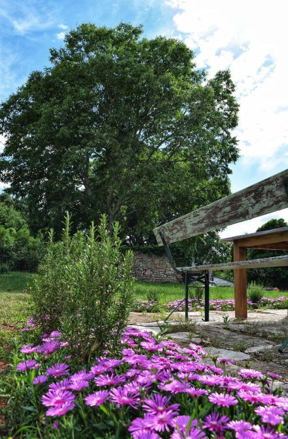 Cottage al Merlo Olivo Buje Esterno foto