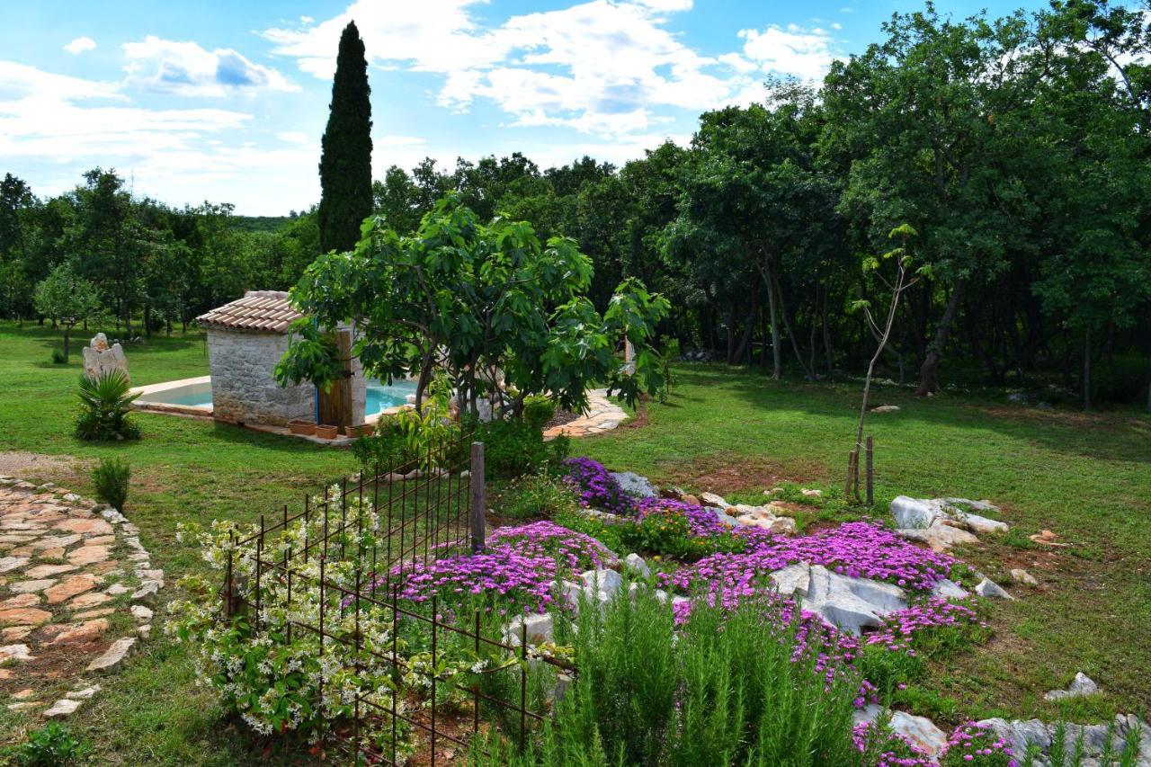 Cottage al Merlo Olivo Buje Esterno foto