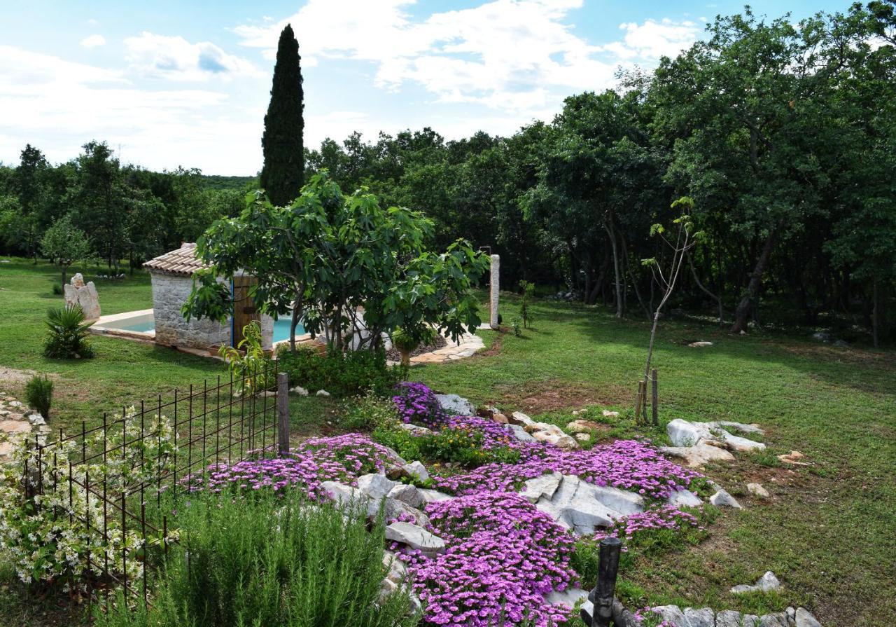 Cottage al Merlo Olivo Buje Esterno foto