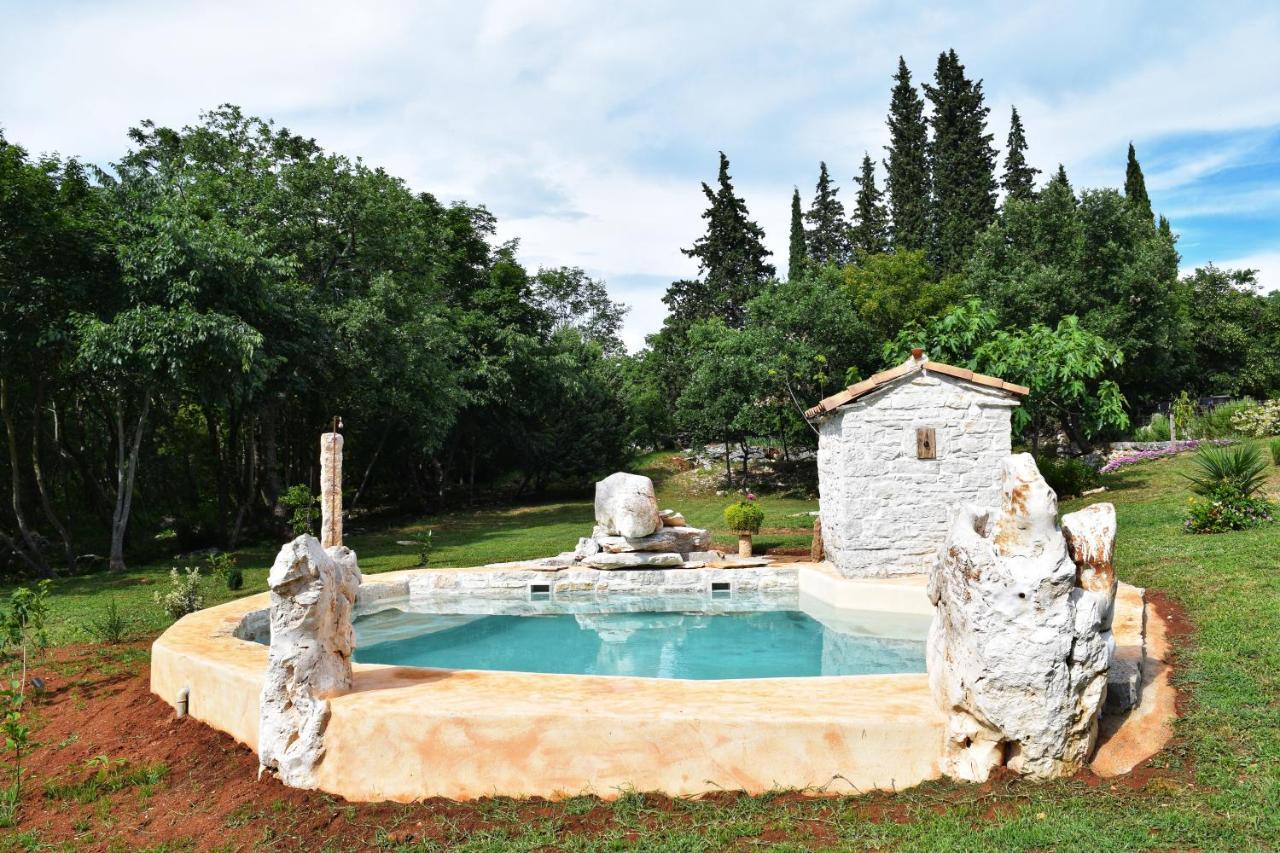 Cottage al Merlo Olivo Buje Esterno foto