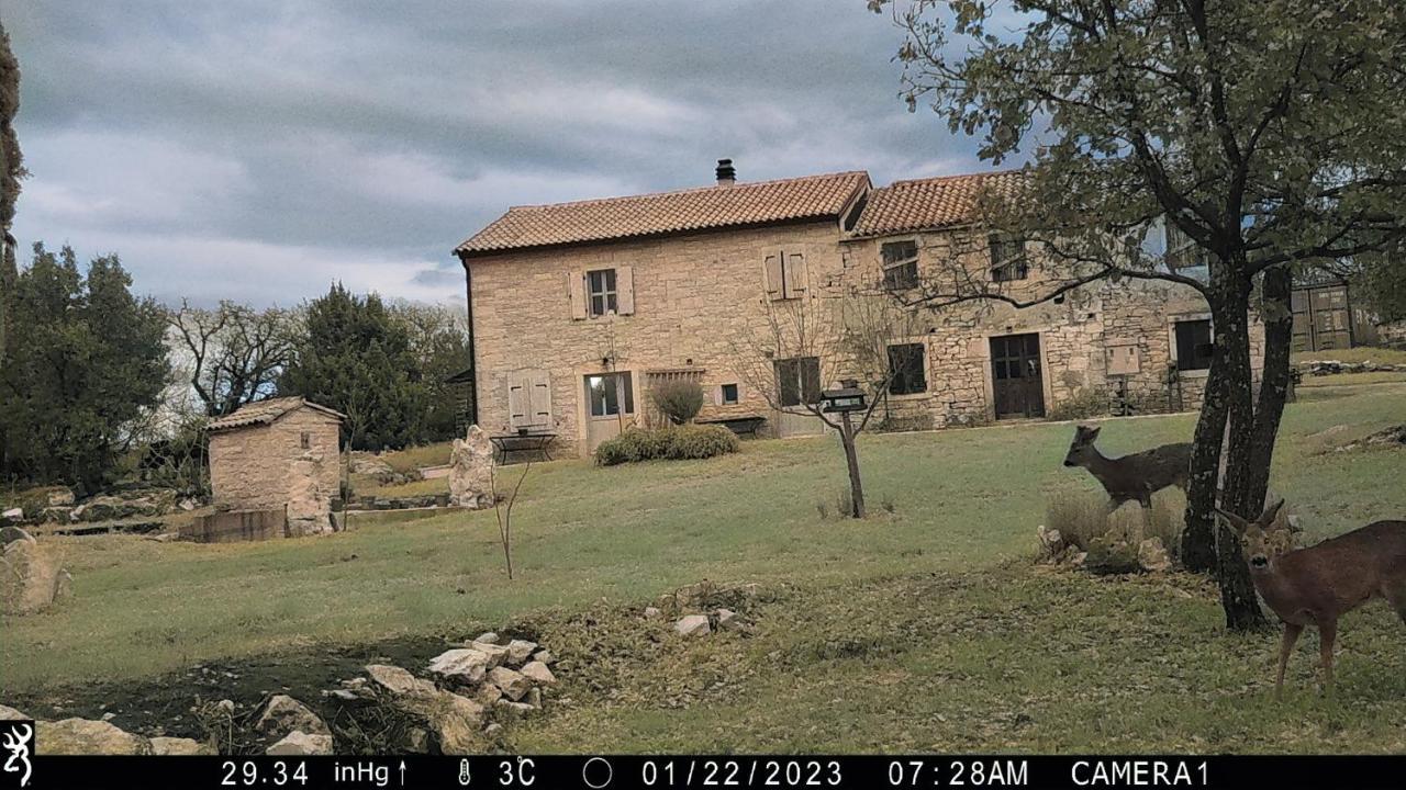 Cottage al Merlo Olivo Buje Esterno foto